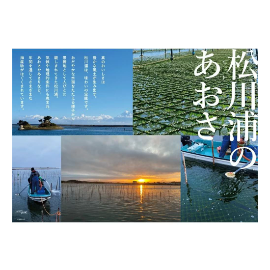 海生菜香油漬 かけるあおさ