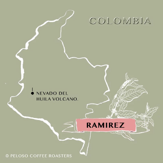 沛洛瑟 哥倫比亞．拉米雷茲 咖啡豆