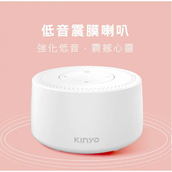 KINYO 藍牙讀卡喇叭 - 白