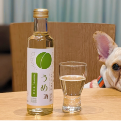臥龍梅 微氣泡梅酒