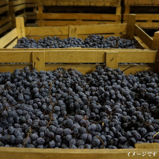 三和 Brava Amarone 樽熟成梅酒