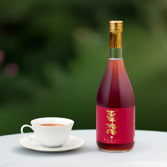 【搶先預購】百年紅茶梅酒