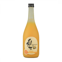 熊蜂 芒果果實酒