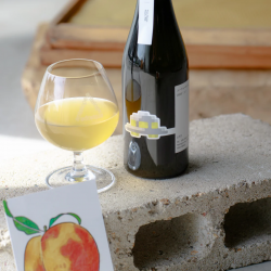 Antelope UFO 桃子煉乳 Mead 日本手工蜂蜜酒