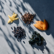 STANDARD CRAFT GIN 經典工藝琴酒 STANDARD CRAFT GIN 經典工藝琴酒