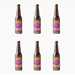 【Tomu望山穗 × PASSIONGO! 聯名款】望山穗 百香小米氣泡酒 6入