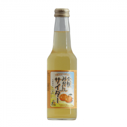 能勢 橘子汽水 單瓶
