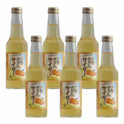 能勢 橘子汽水 6入
