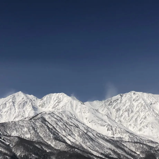 白馬錦 雪人（含盒）