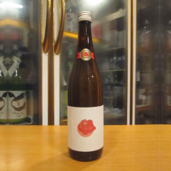 京之春 美智子公主