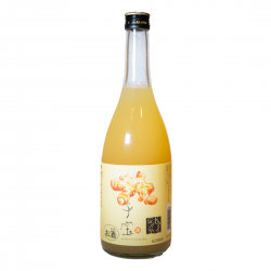楯の川 子寶 番外編 薑汁利口酒 720ml